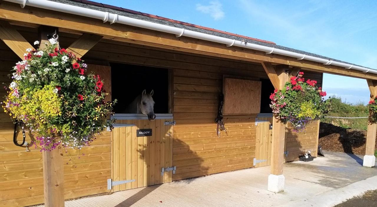 Rosebank Barn Villa Brentor Buitenkant foto